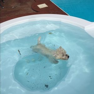 Meet your Posher, Kathie